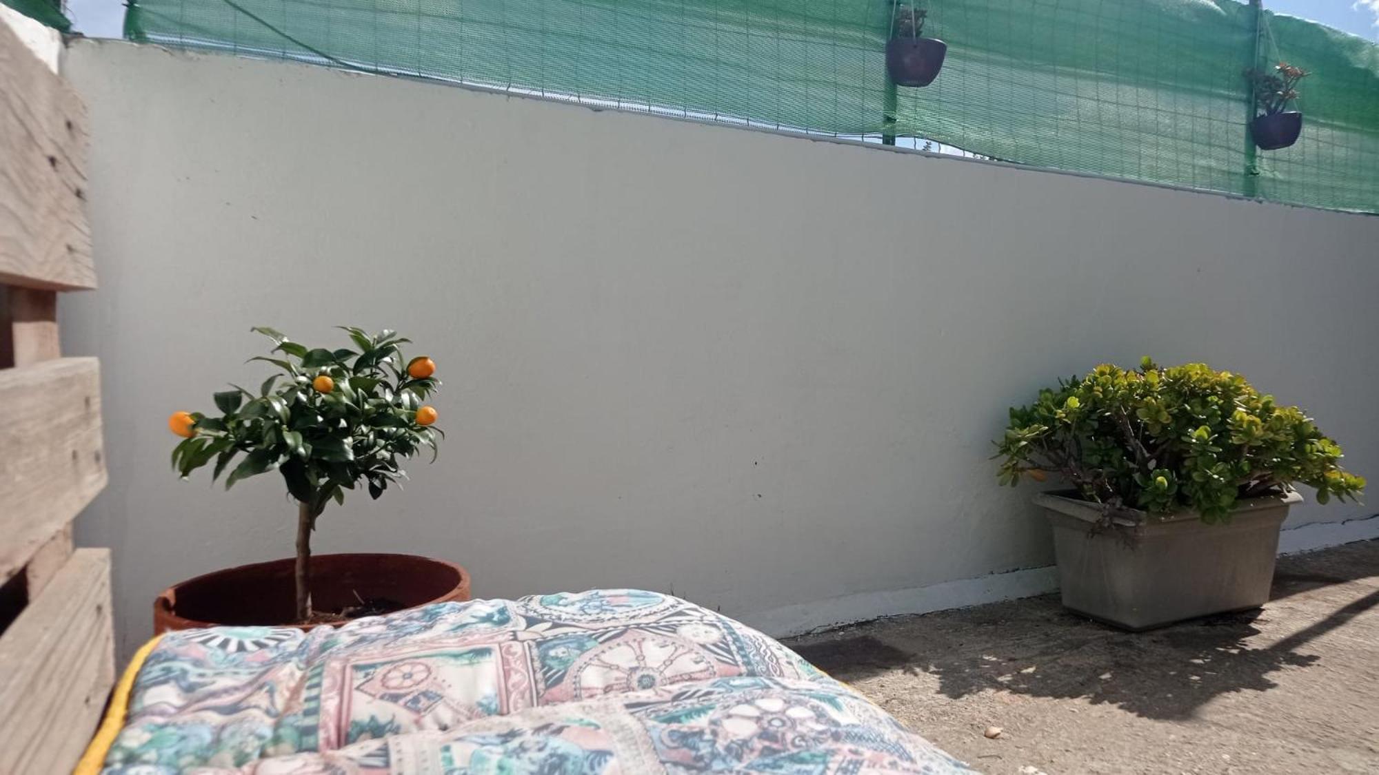 贝尔韦代雷Casa Dalila公寓 外观 照片