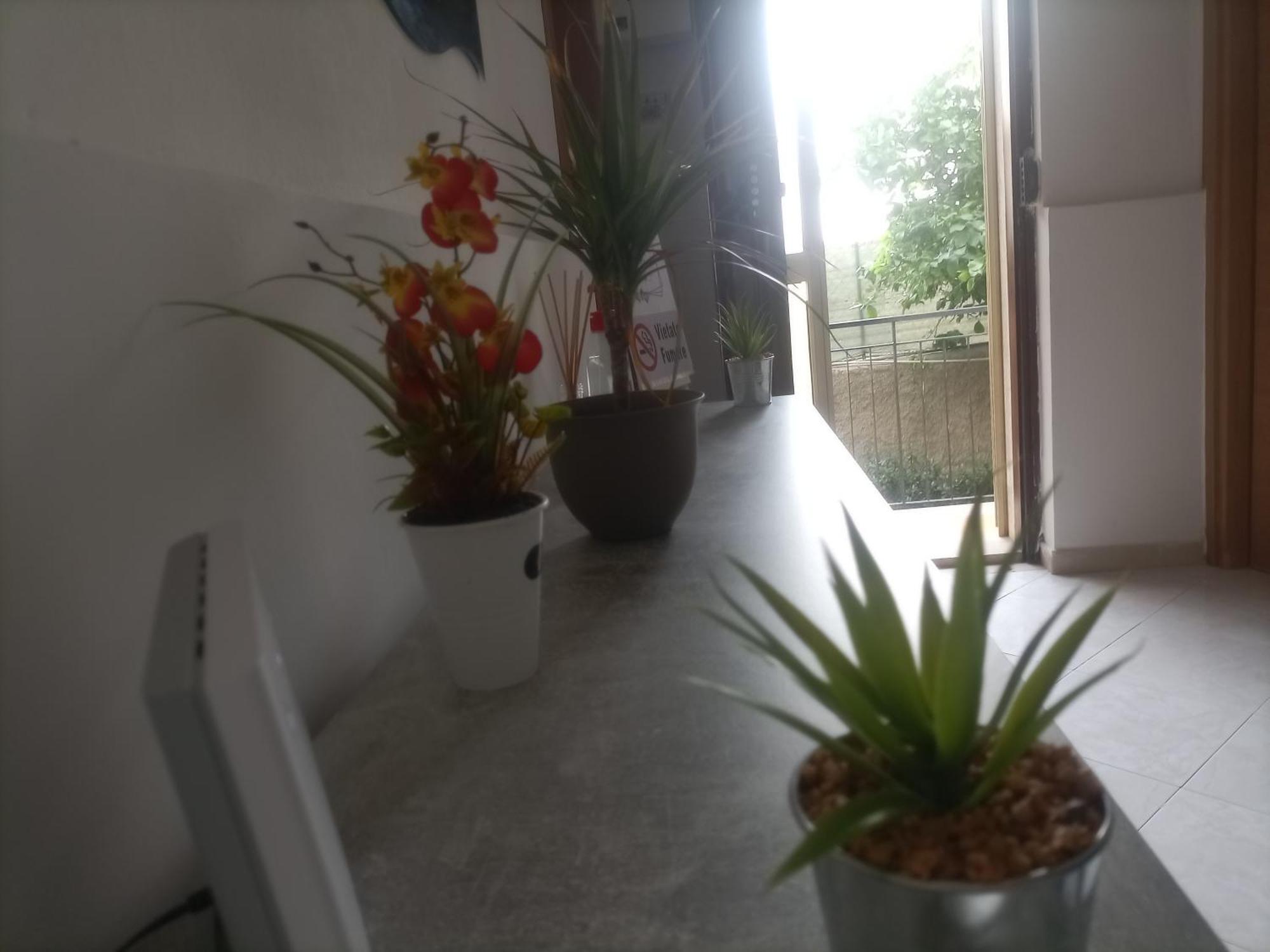 贝尔韦代雷Casa Dalila公寓 外观 照片